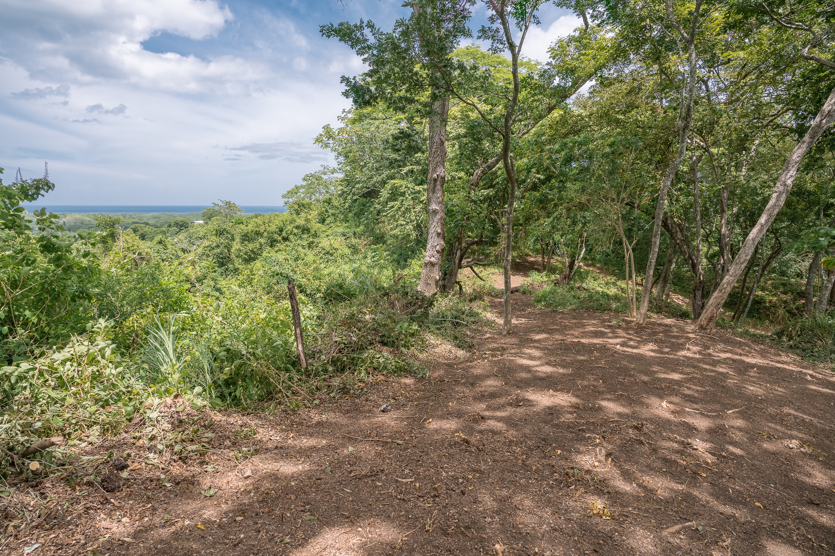 0 bed Land For Sale in Nosara, Guanacaste - thumb 1