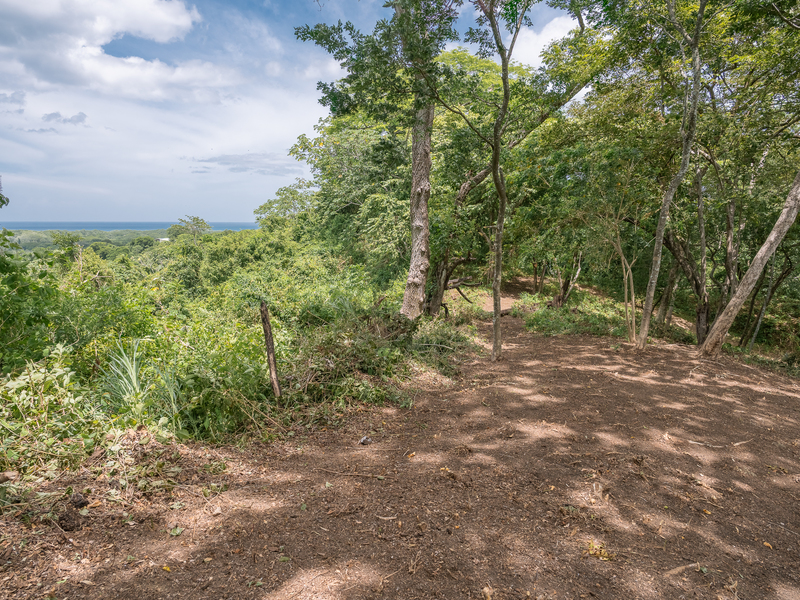 0 bed Land For Sale in Nosara, Guanacaste - 1