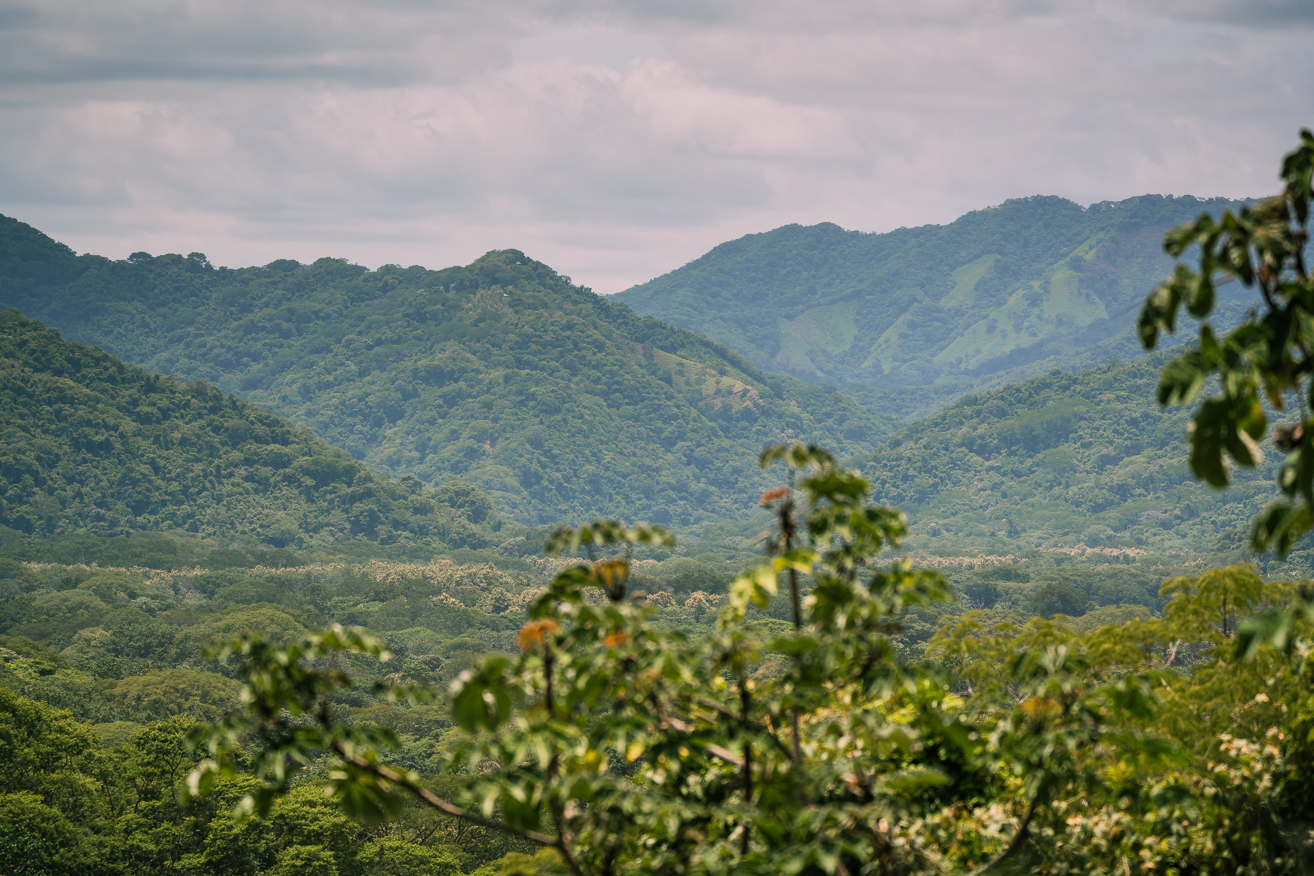 0 bed Land For Sale in Nosara, Guanacaste - thumb 8