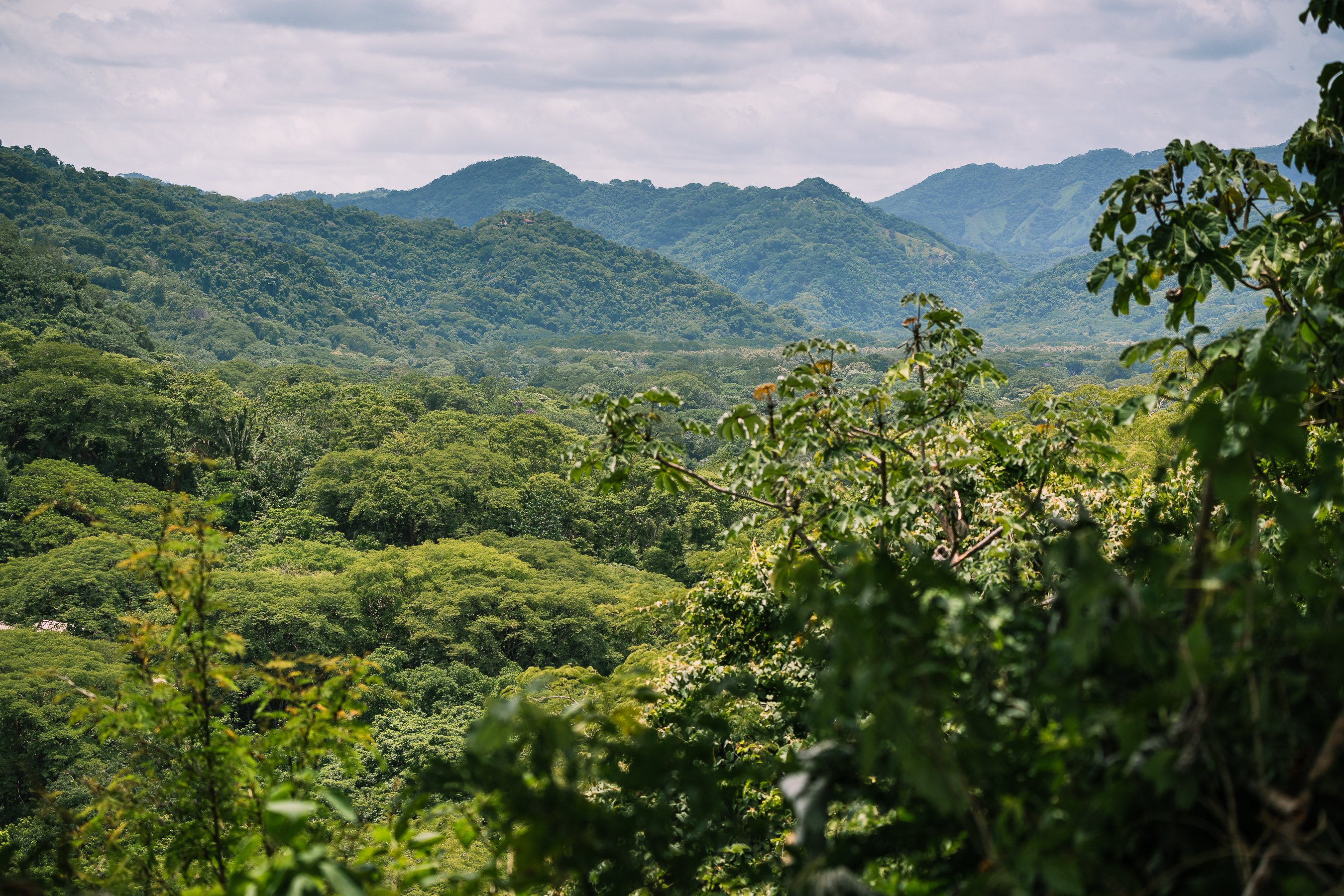 0 bed Land For Sale in Nosara, Guanacaste - thumb 7