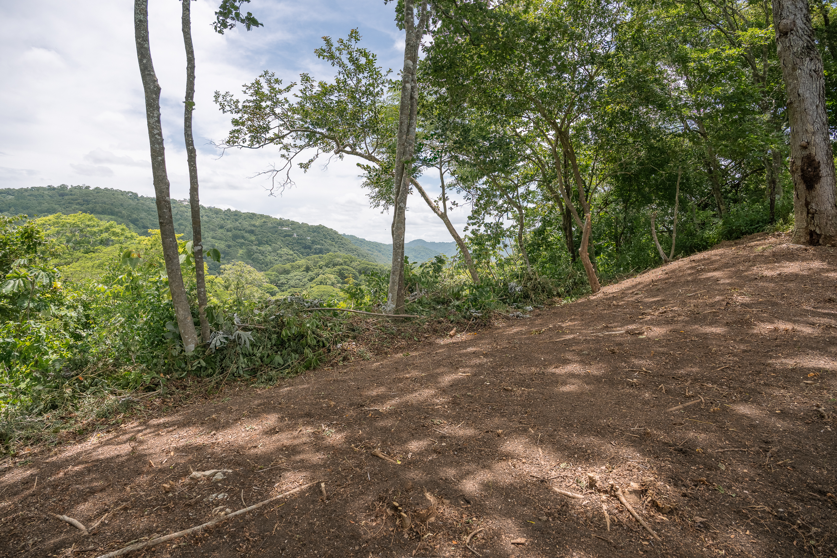 0 bed Land For Sale in Nosara, Guanacaste - thumb 6