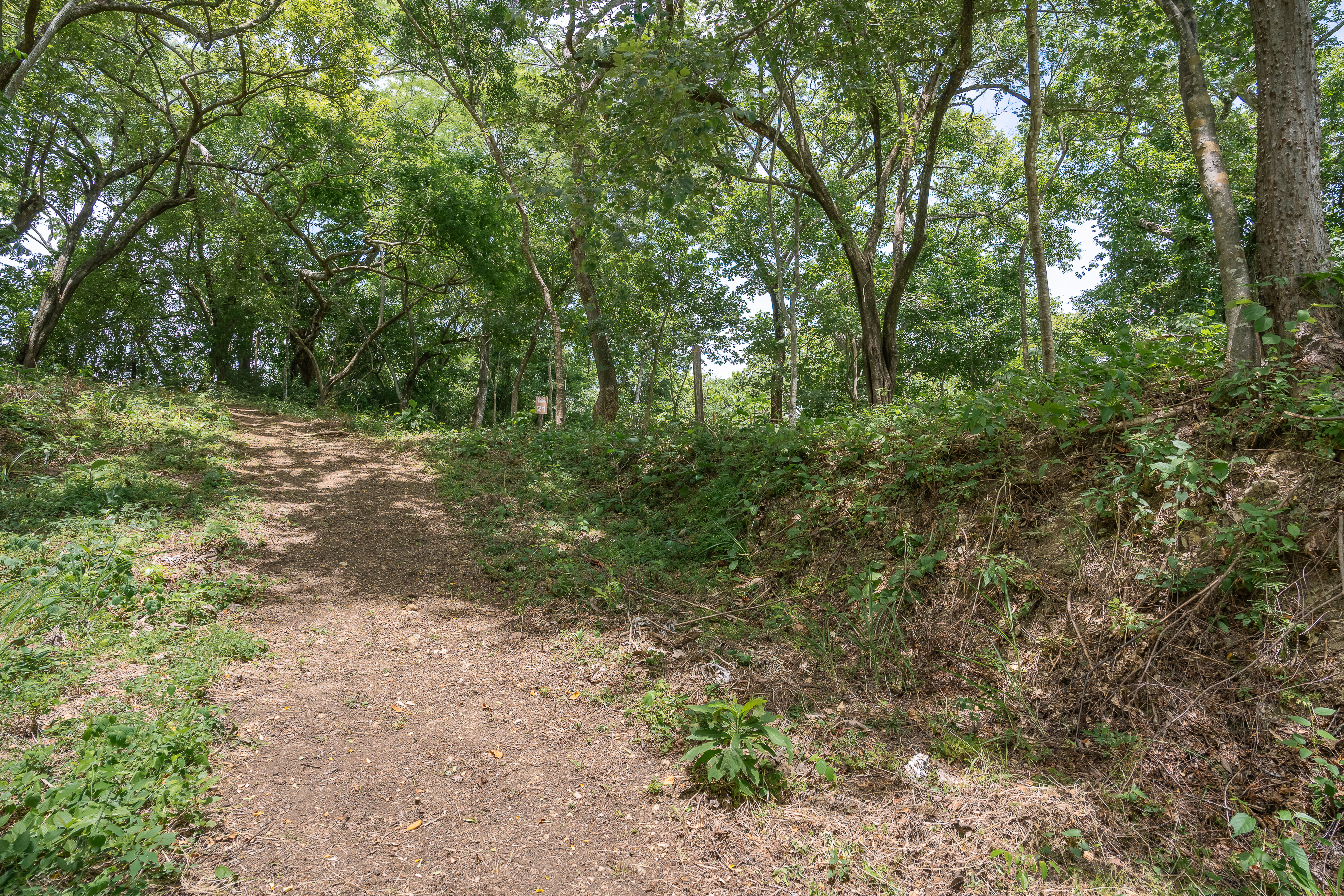 0 bed Land For Sale in Nosara, Guanacaste - thumb 12
