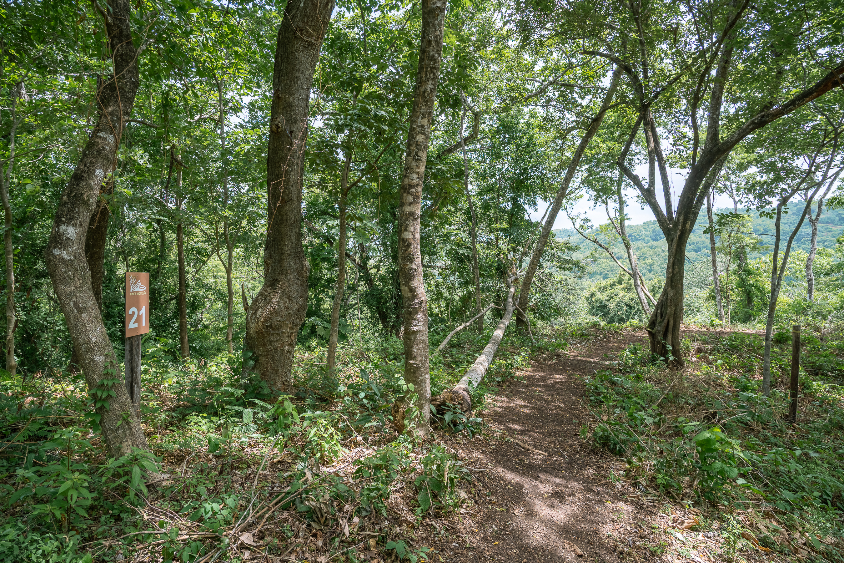 0 bed Land For Sale in Nosara, Guanacaste - thumb 13