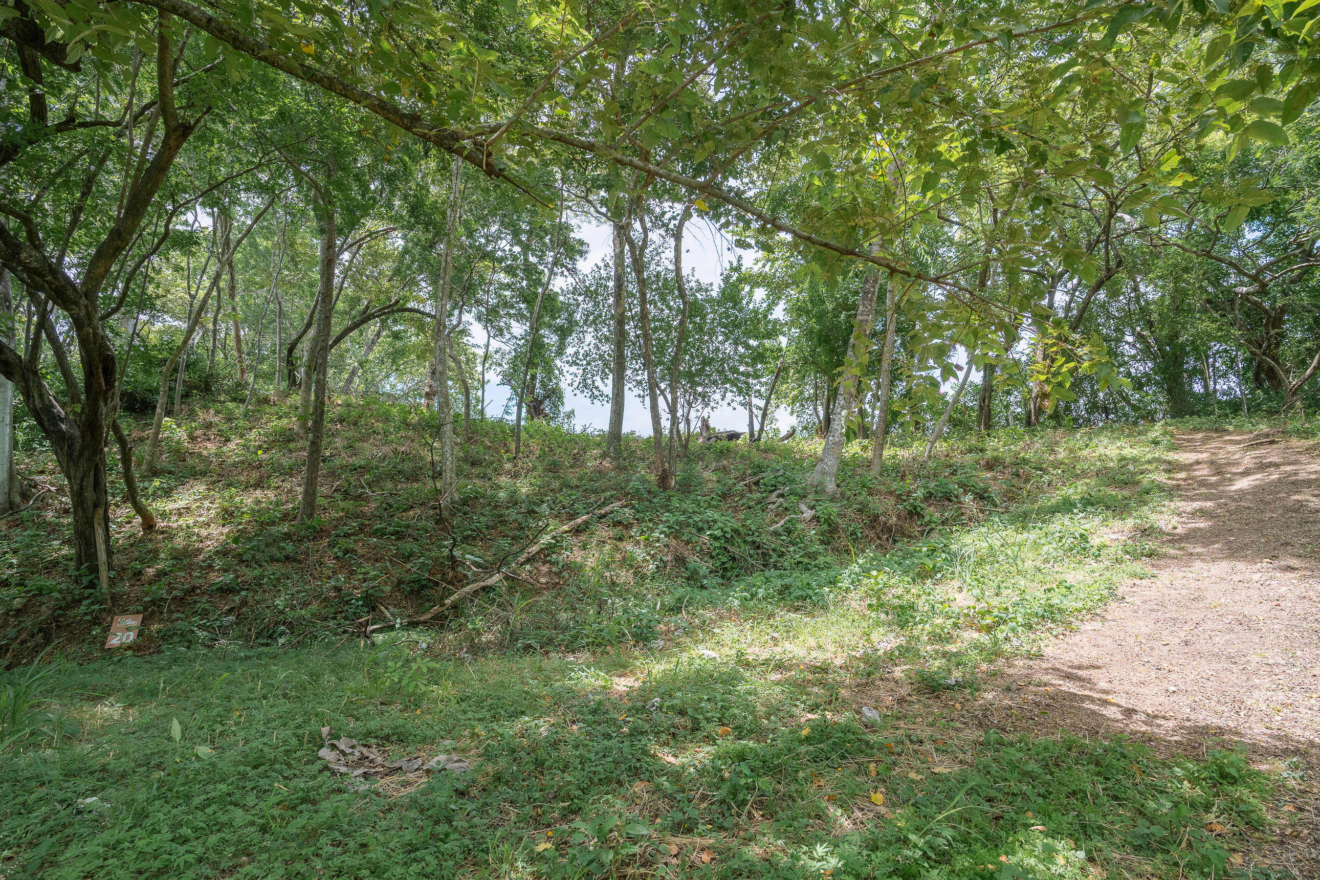 0 bed Land For Sale in Nosara, Guanacaste - thumb 10