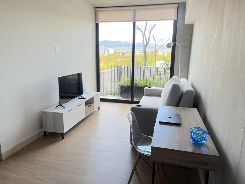 1 bed Condo For Rent in Rohrmoser, San Jose