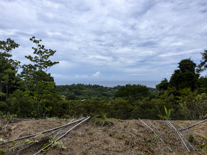 0 bed Property For Sale in Uvita, Puntarenas - 1