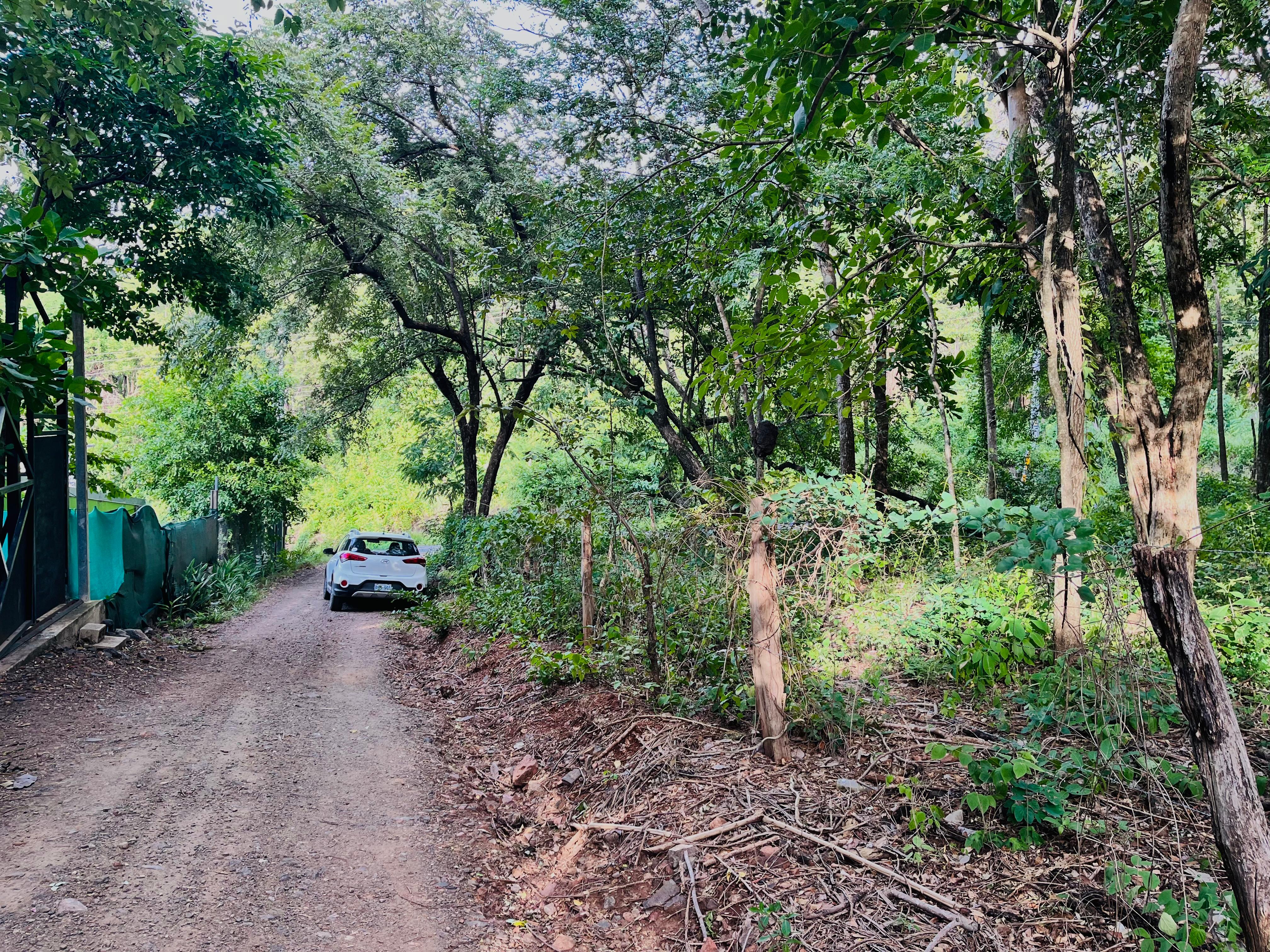 0 bed Land For Sale in Tamarindo, Guanacaste - thumb 4