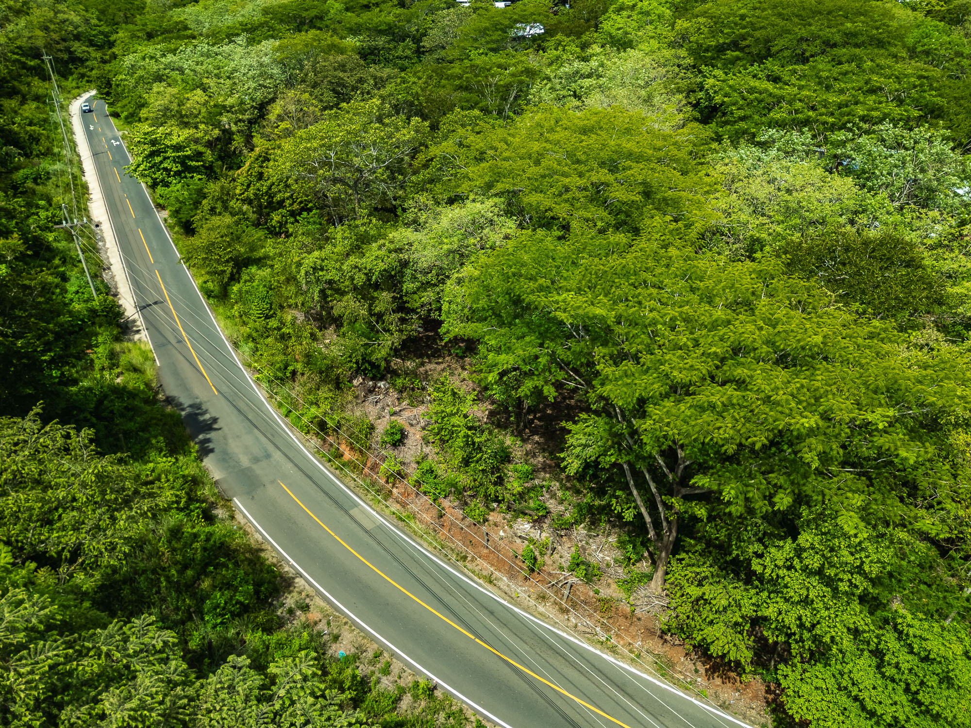 0 bed Land For Sale in Tamarindo, Guanacaste - thumb 7
