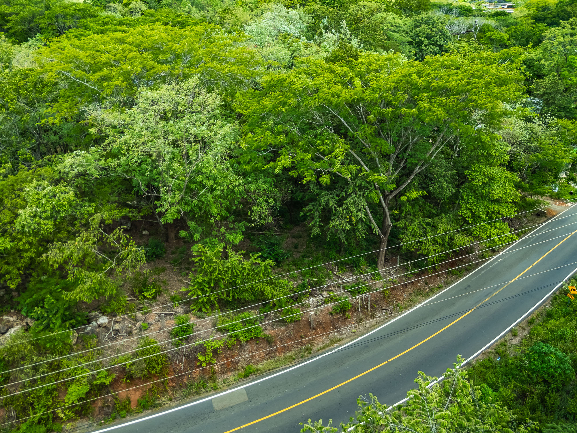 0 bed Land For Sale in Tamarindo, Guanacaste - thumb 12