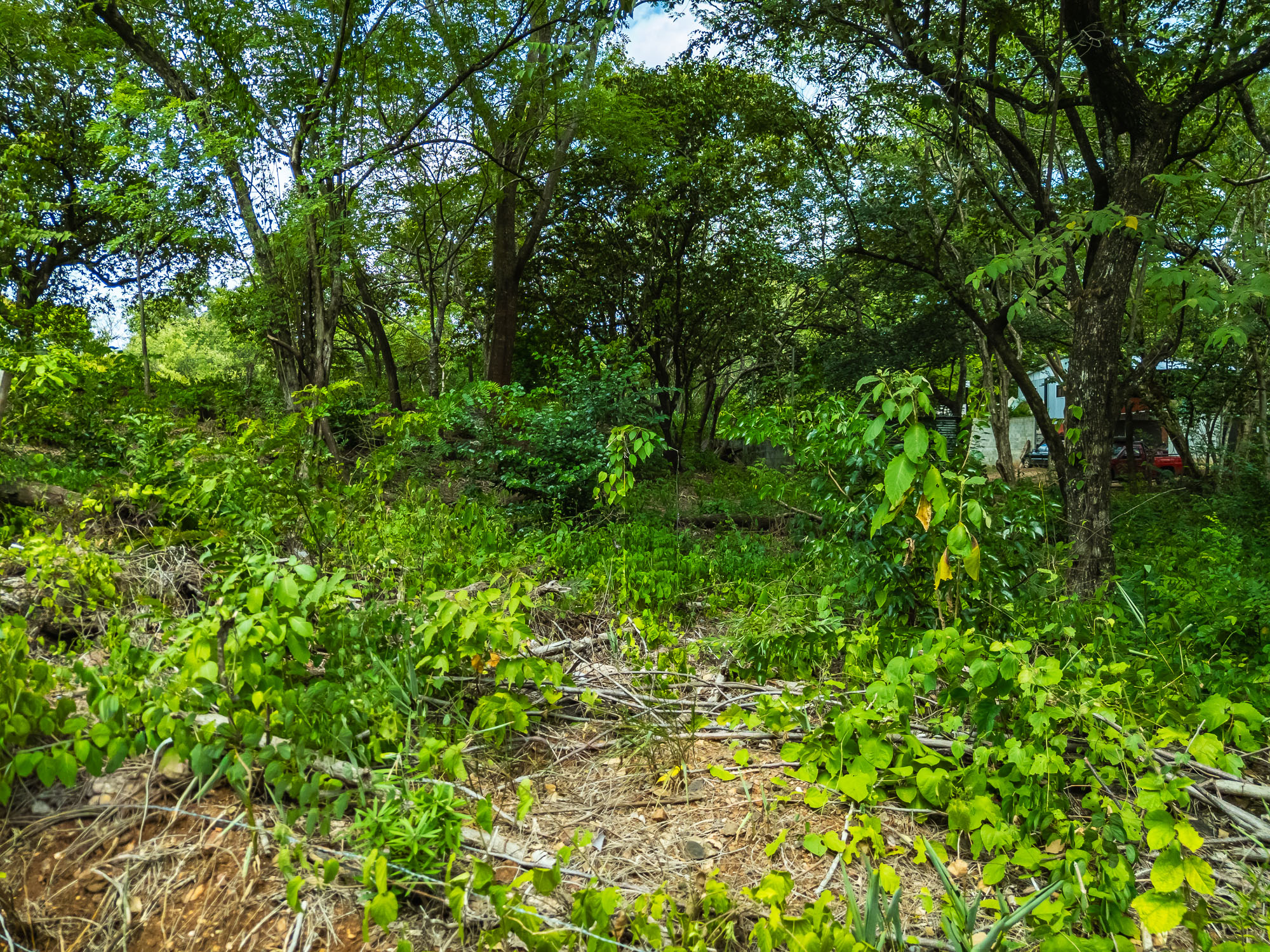 0 bed Land For Sale in Tamarindo, Guanacaste - thumb 11
