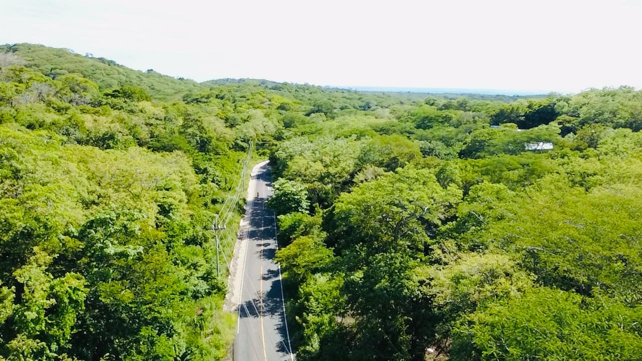 0 bed Land For Sale in Tamarindo, Guanacaste - thumb 5