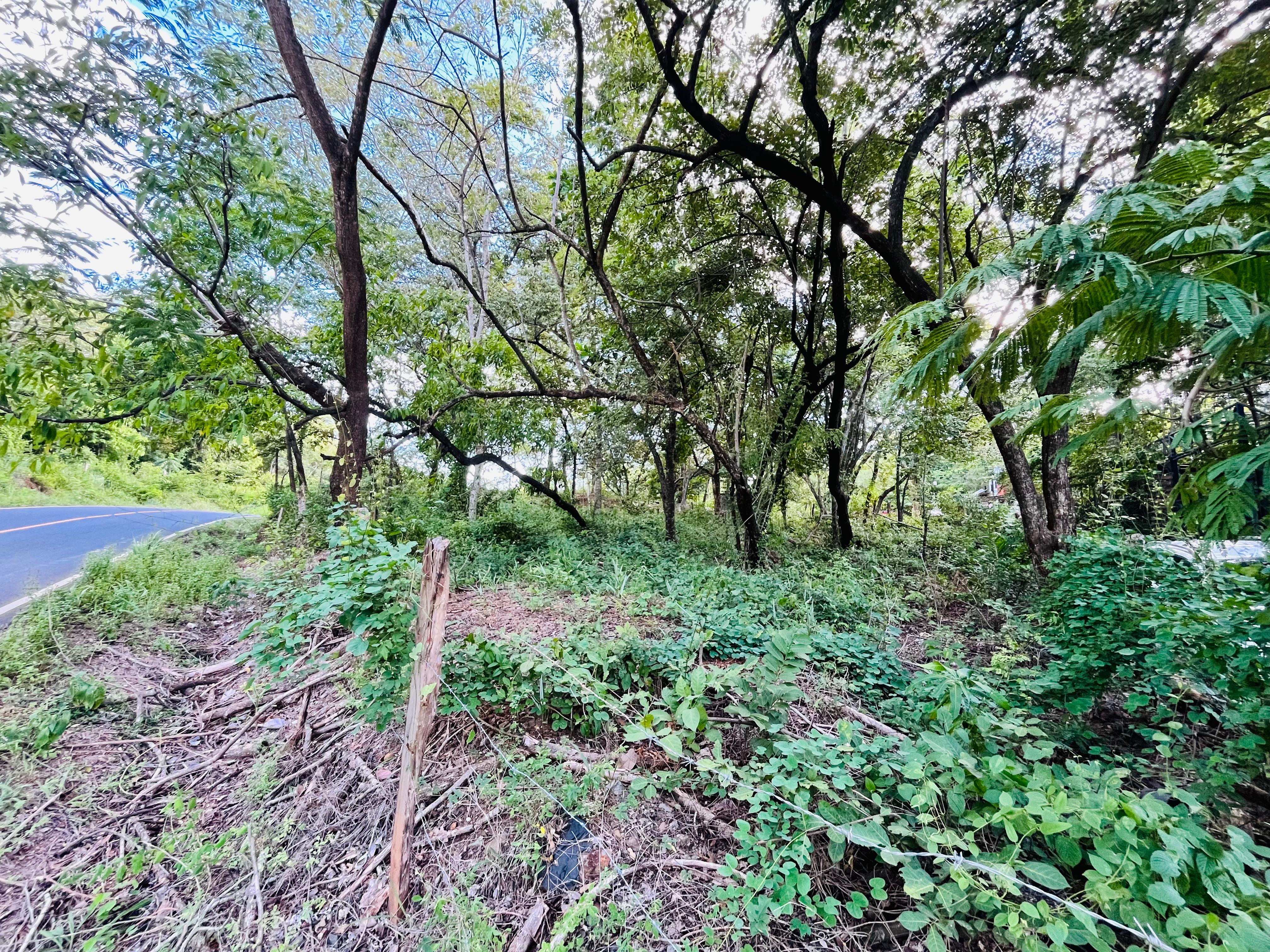 0 bed Land For Sale in Tamarindo, Guanacaste - thumb 3