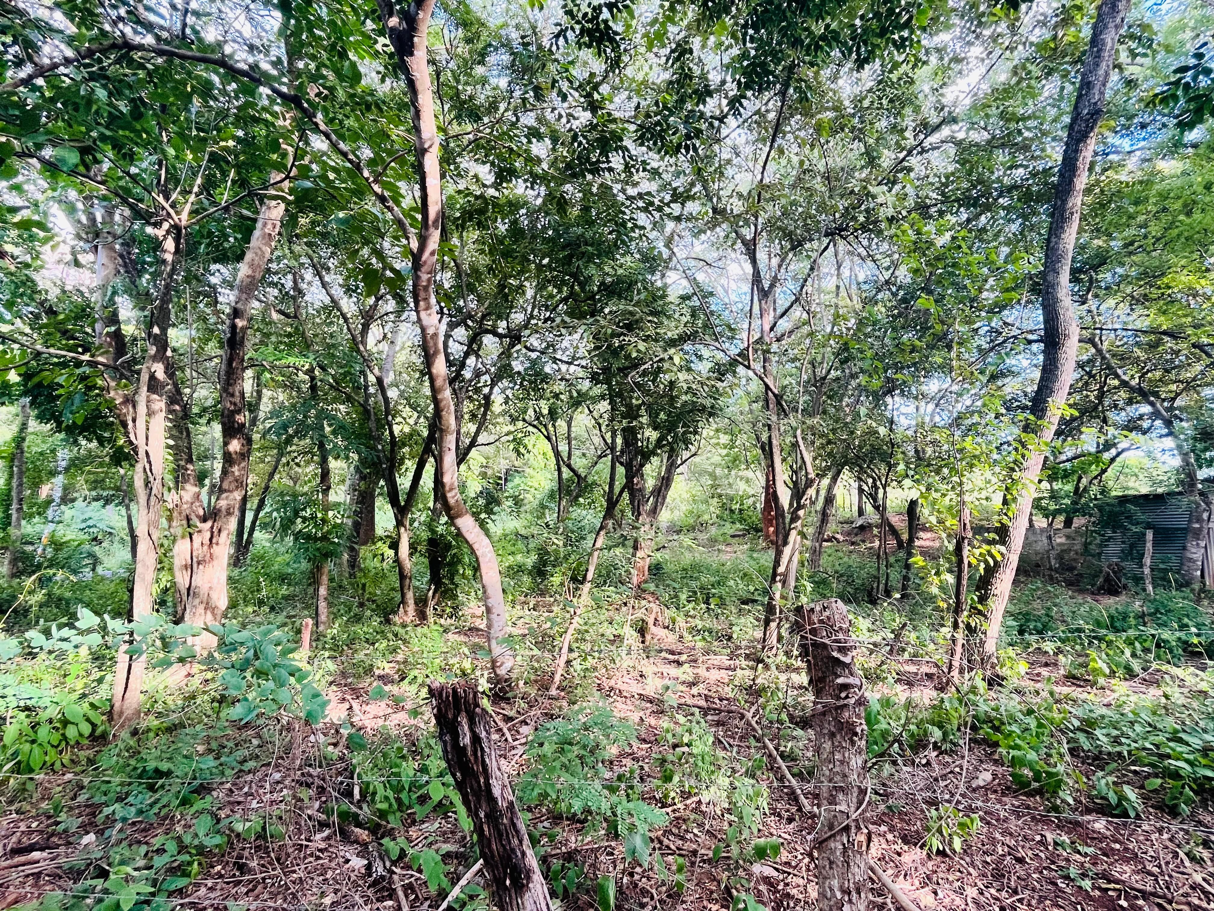 0 bed Land For Sale in Tamarindo, Guanacaste - thumb 2
