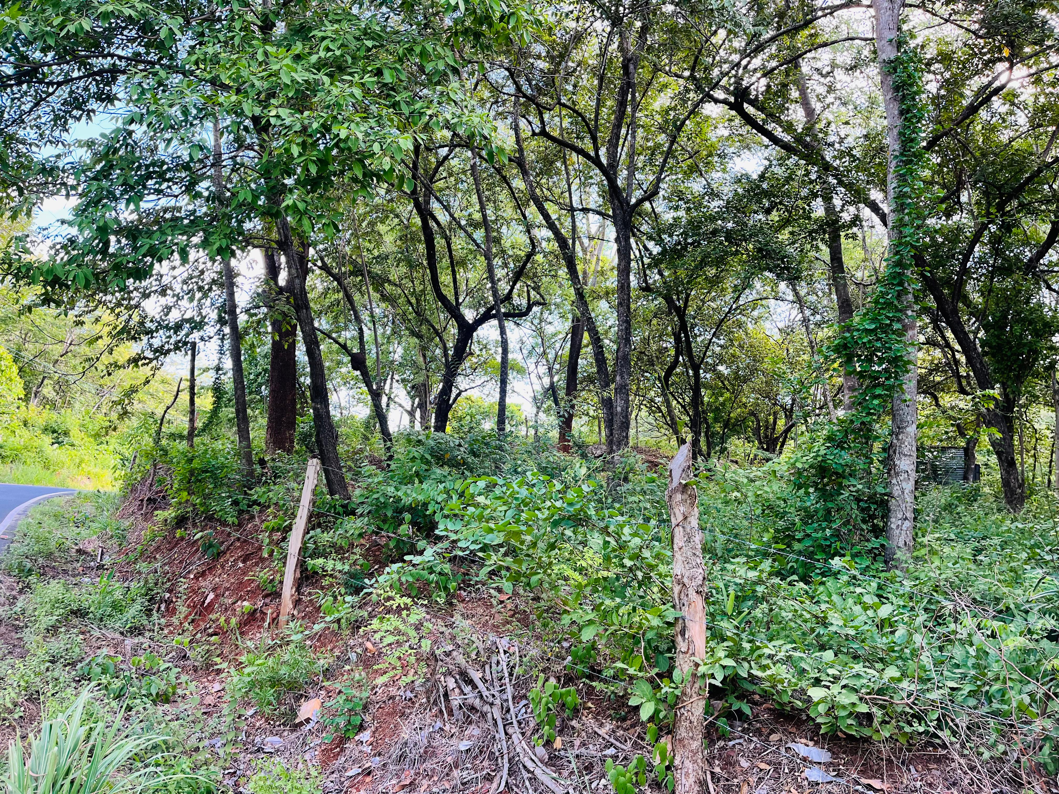 0 bed Land For Sale in Tamarindo, Guanacaste - thumb 7