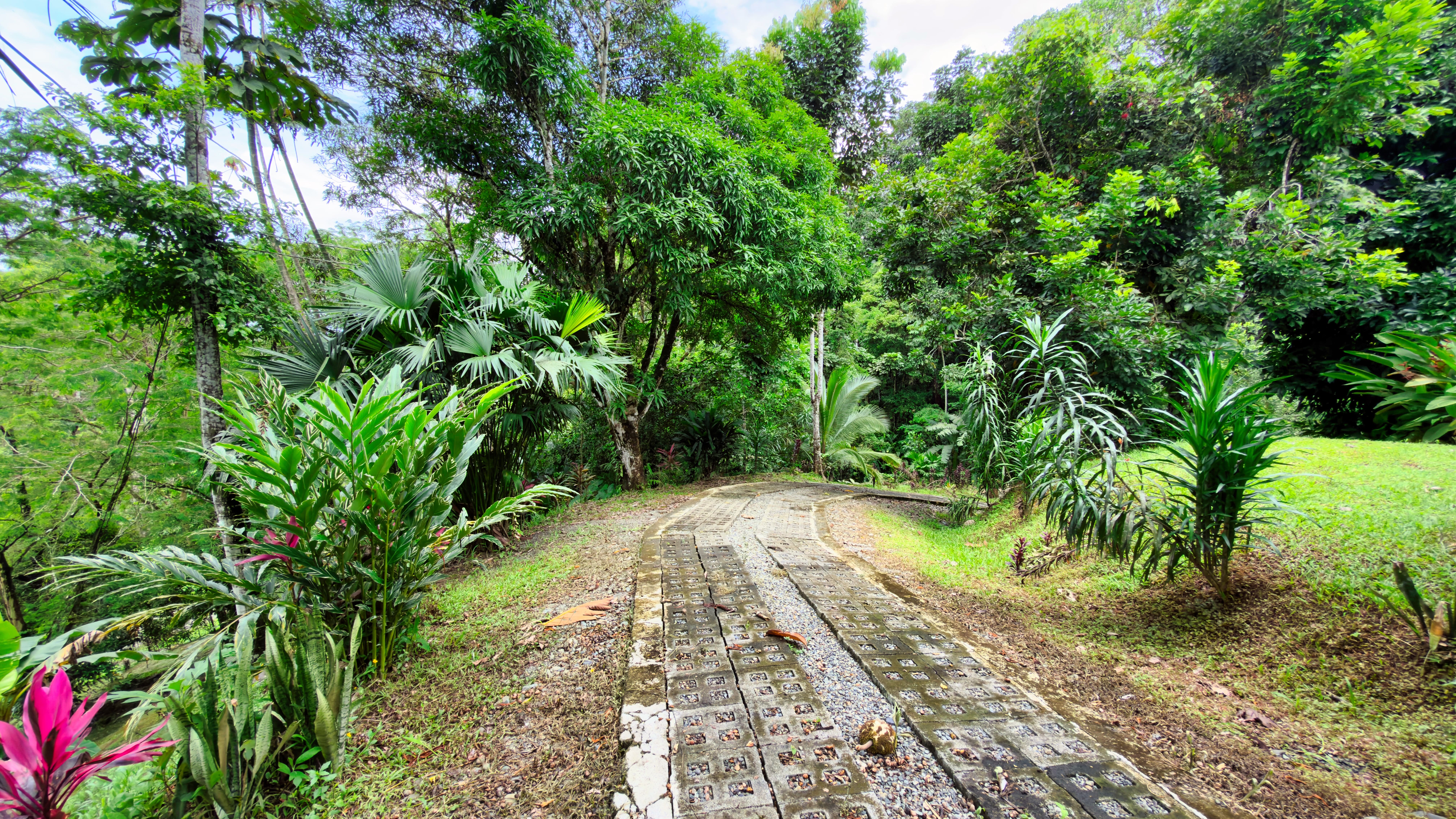 2 bed Single Family Homes For Sale in Puerto Viejo, Limón - thumb 4