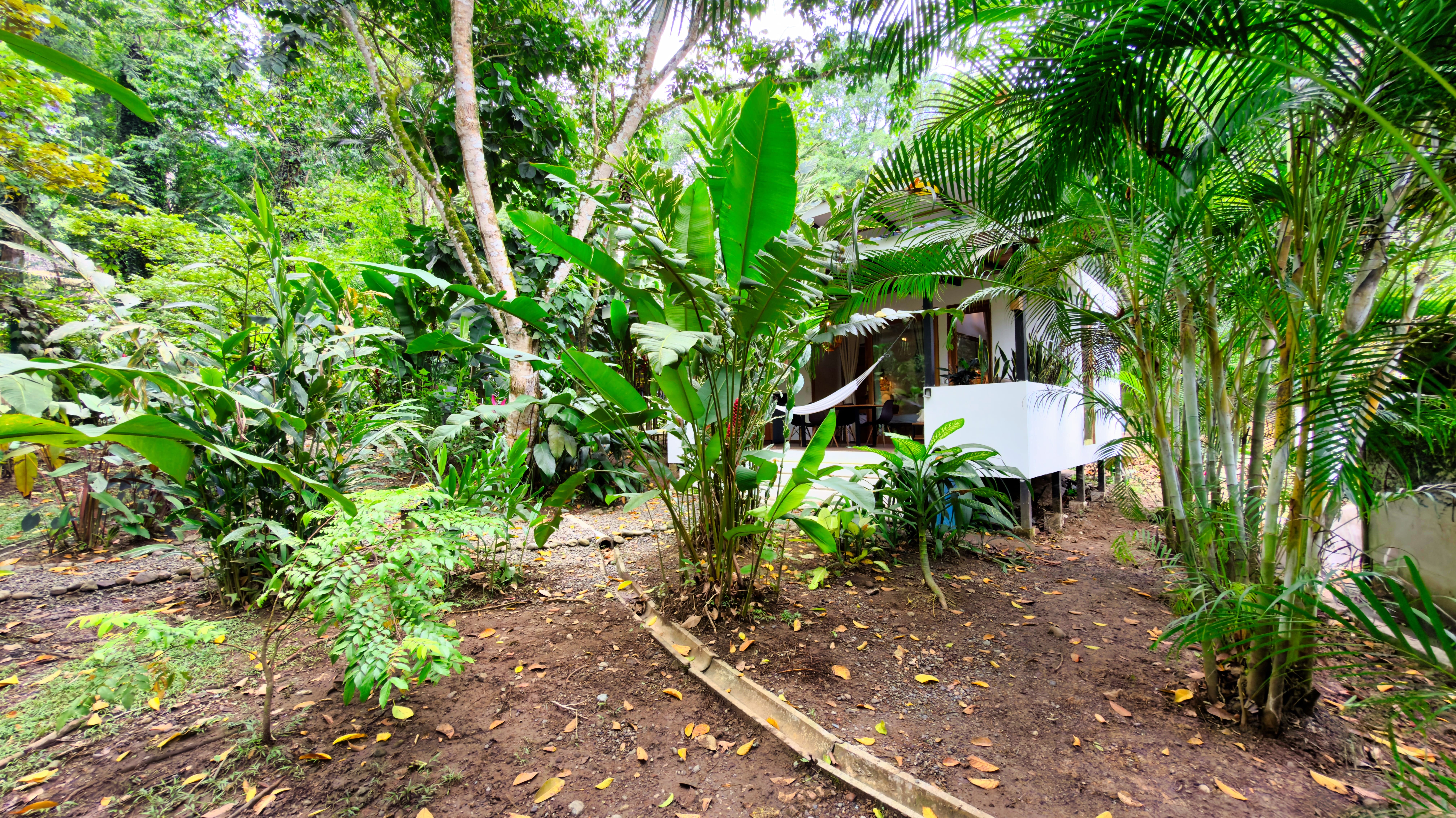 2 bed Single Family Homes For Sale in Chiquita Beach, Limón - thumb 26