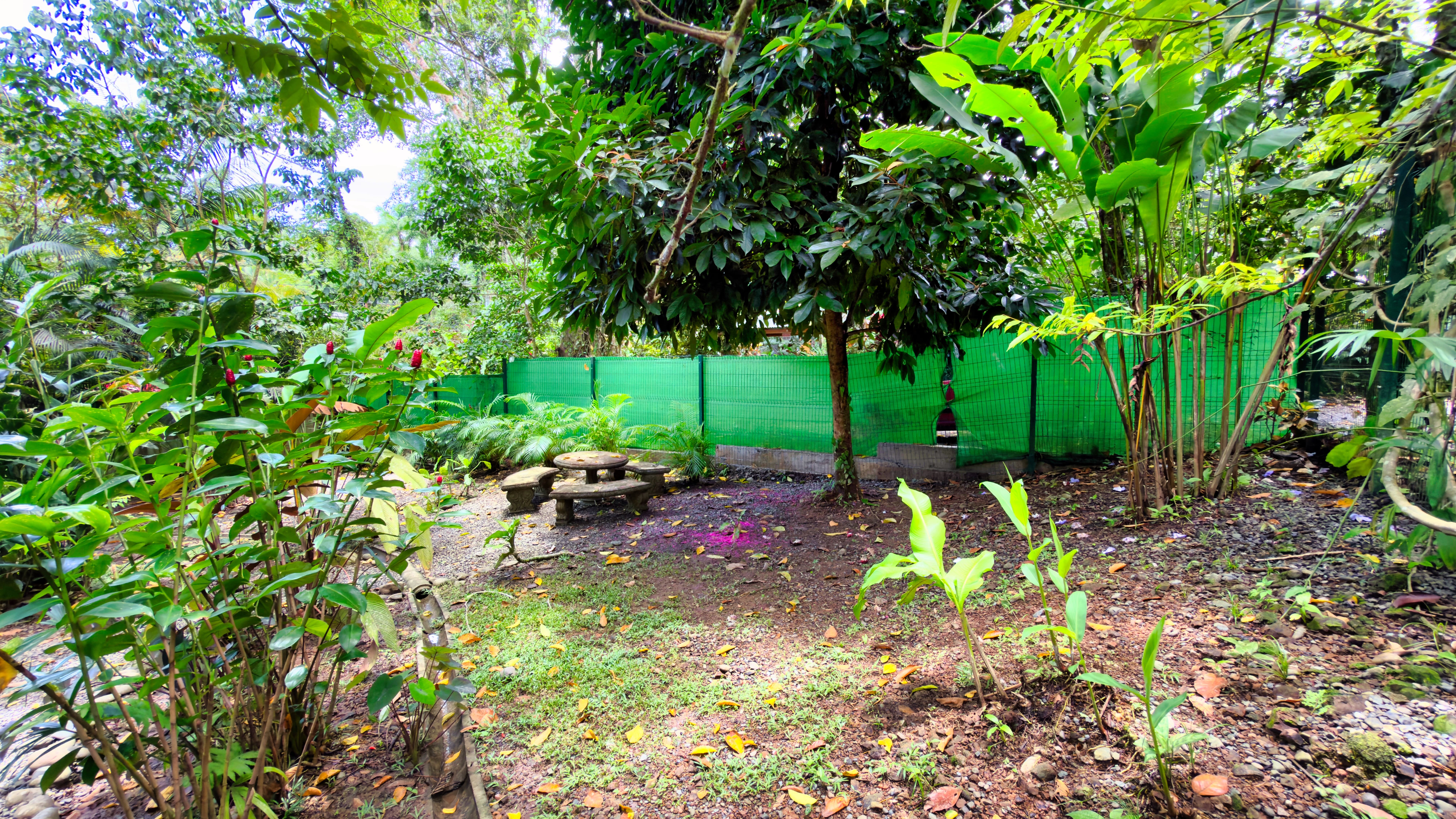 2 bed Single Family Homes For Sale in Chiquita Beach, Limón - thumb 25