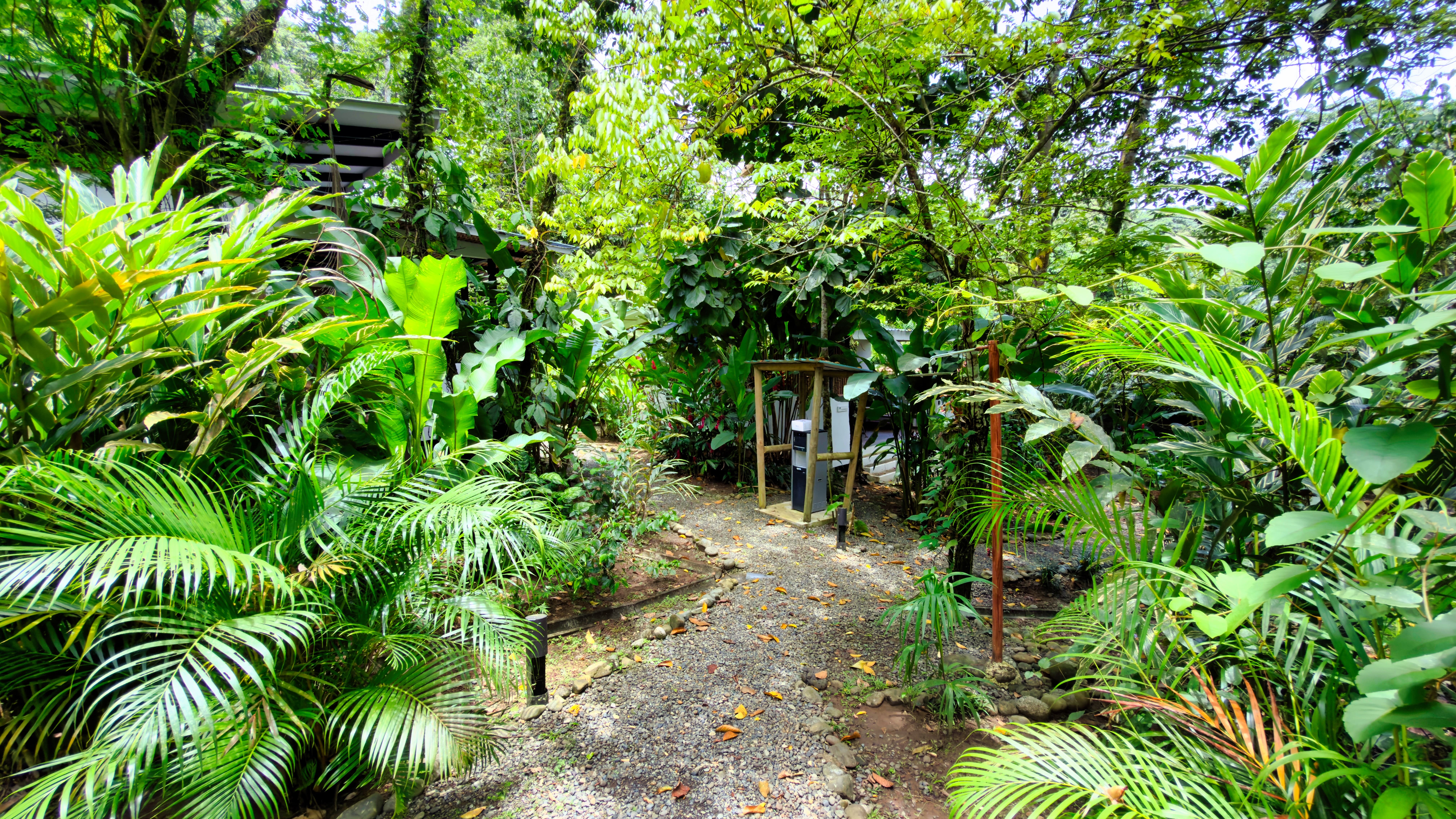2 bed Single Family Homes For Sale in Chiquita Beach, Limón - thumb 24