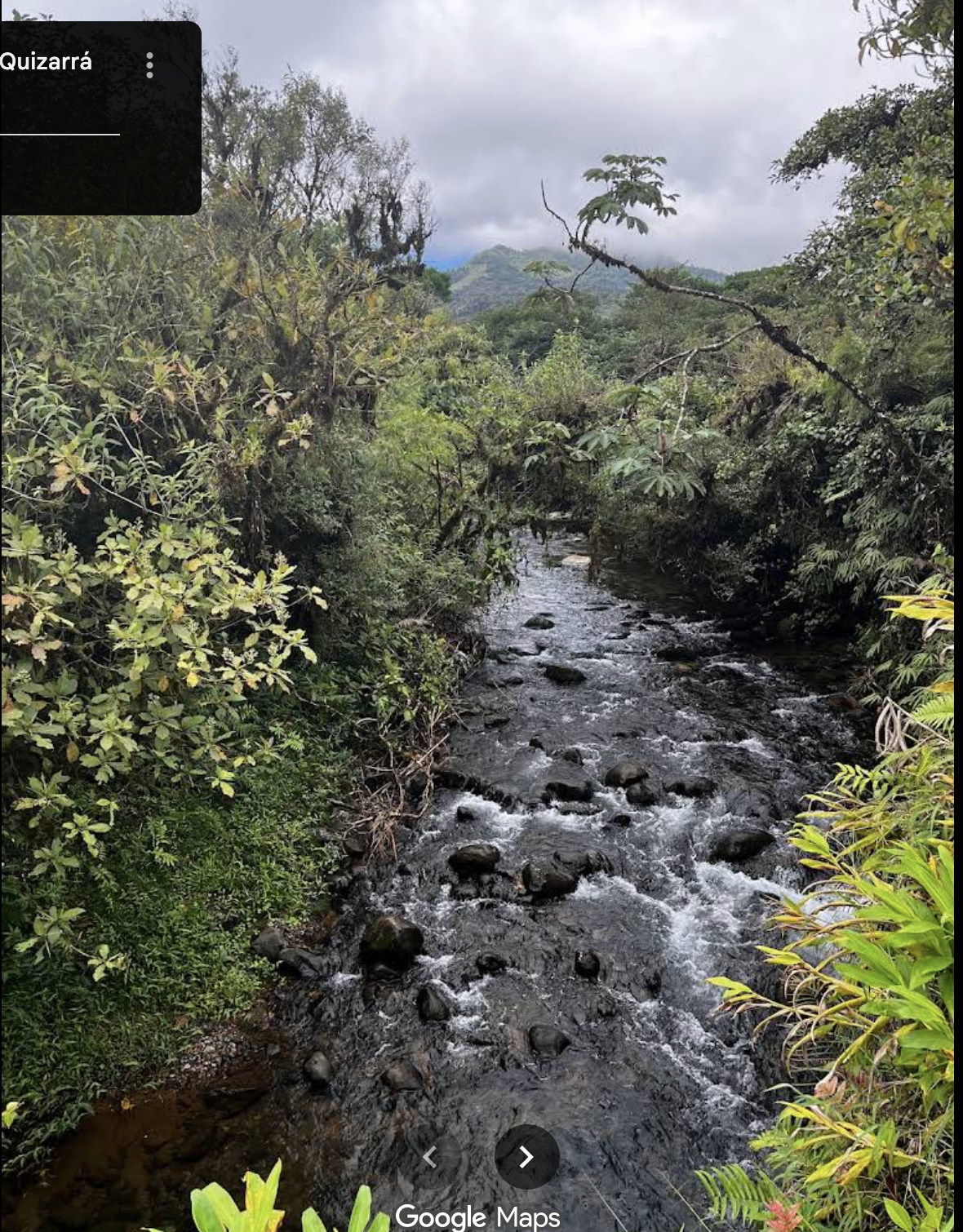 0 bed Land For Sale in San Ramon, Alajuela - thumb 2