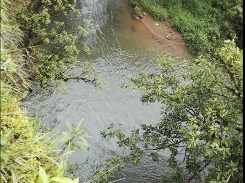 0 bed Land For Sale in San Ramon, Alajuela - 1