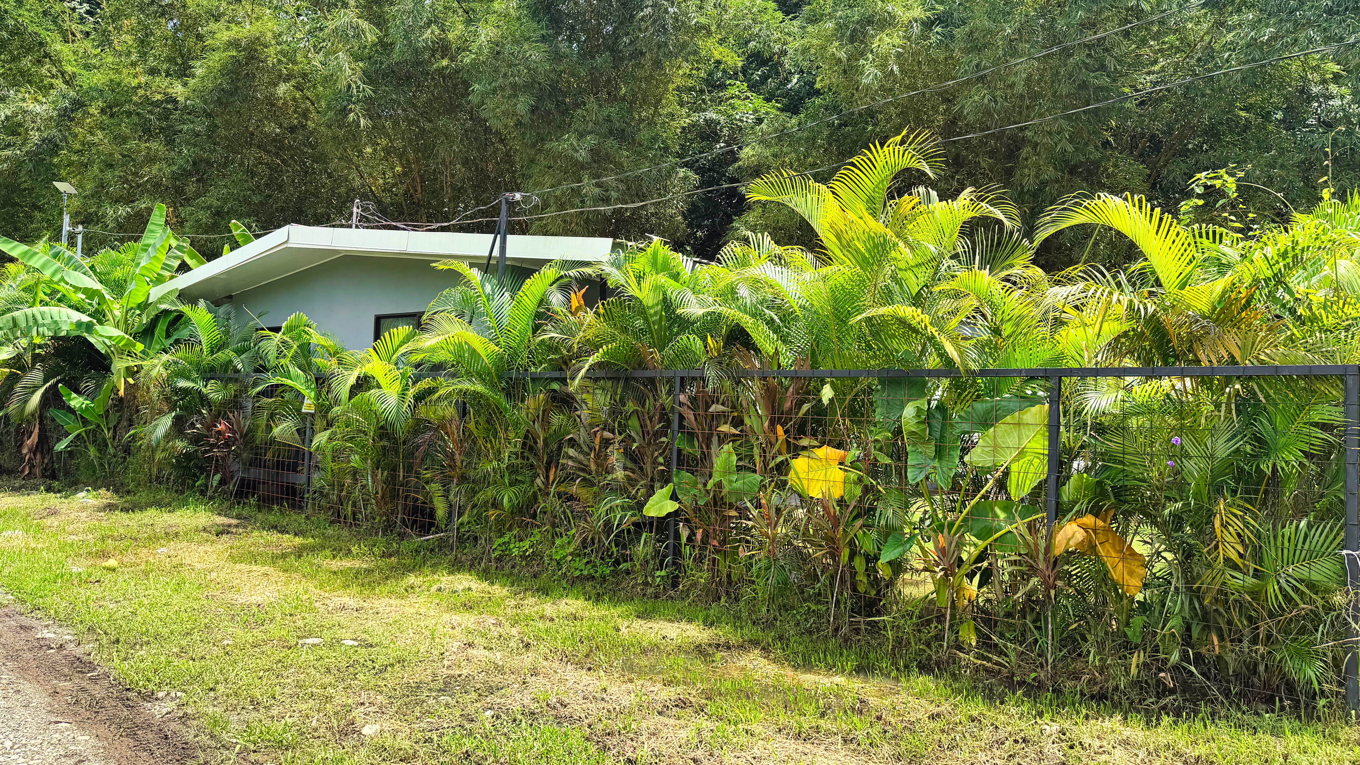 7 bed Apartment For Sale in Puerto Viejo, Limón - thumb 2