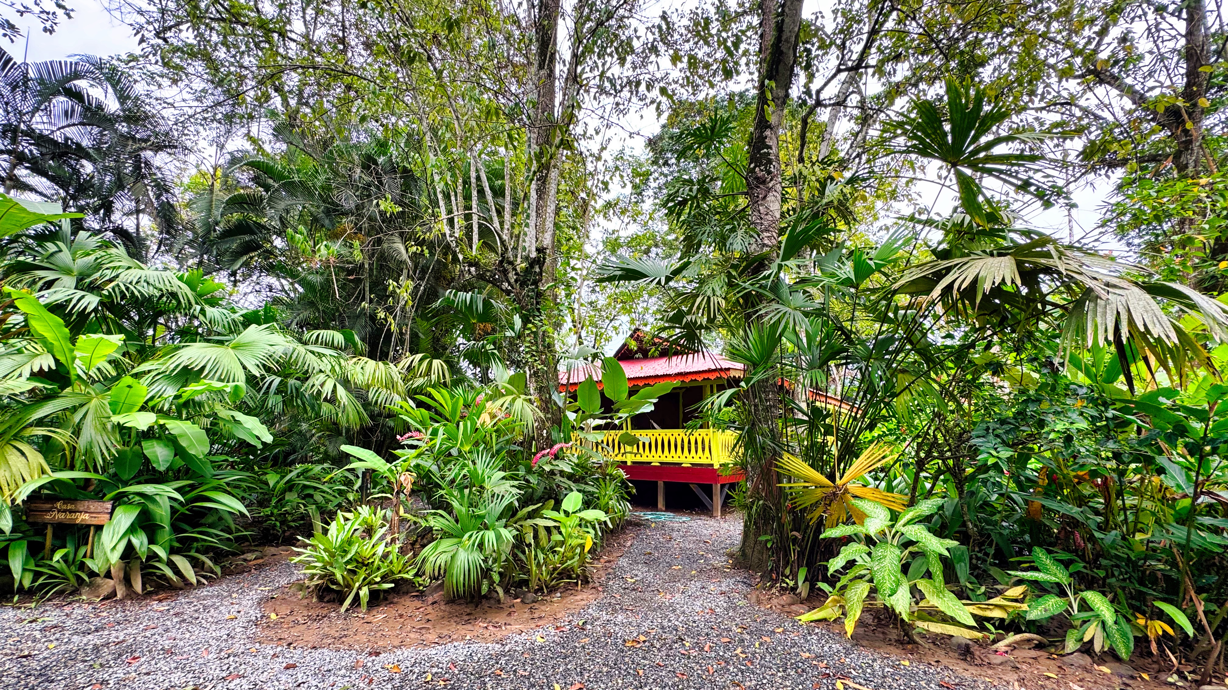 7 bed Single Family Homes For Sale in Puerto Viejo, Limón - thumb 2