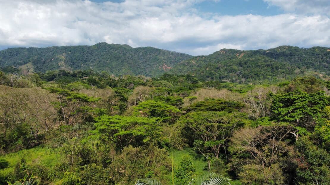 3 bed Single Family Homes For Sale in Herradura, Puntarenas - thumb 22