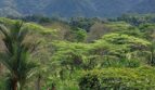 3 bed Single Family Homes For Sale in Herradura, Puntarenas - thumb 19