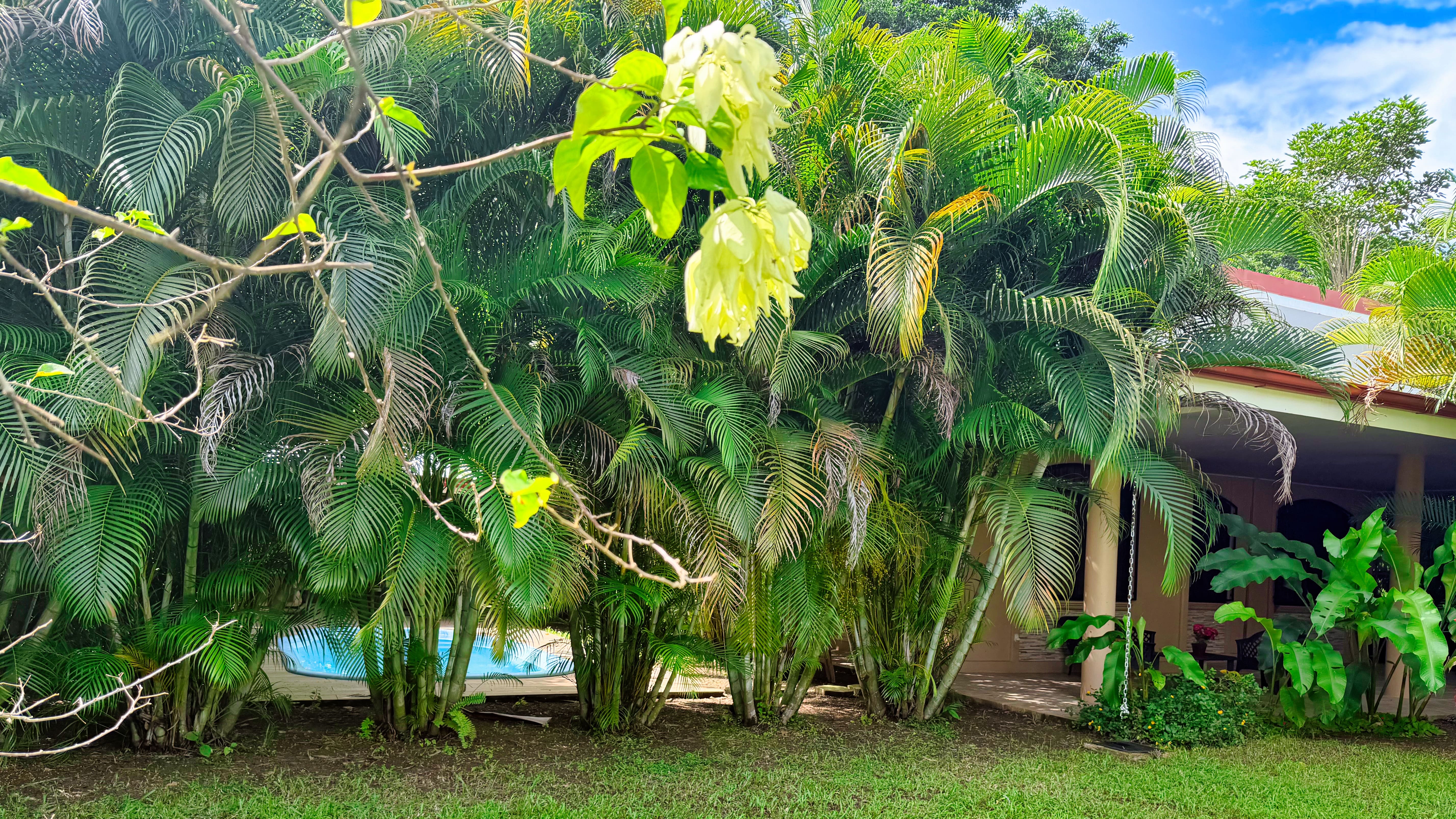 3 bed Single Family Homes For Sale in Puerto Viejo, Limón - thumb 14