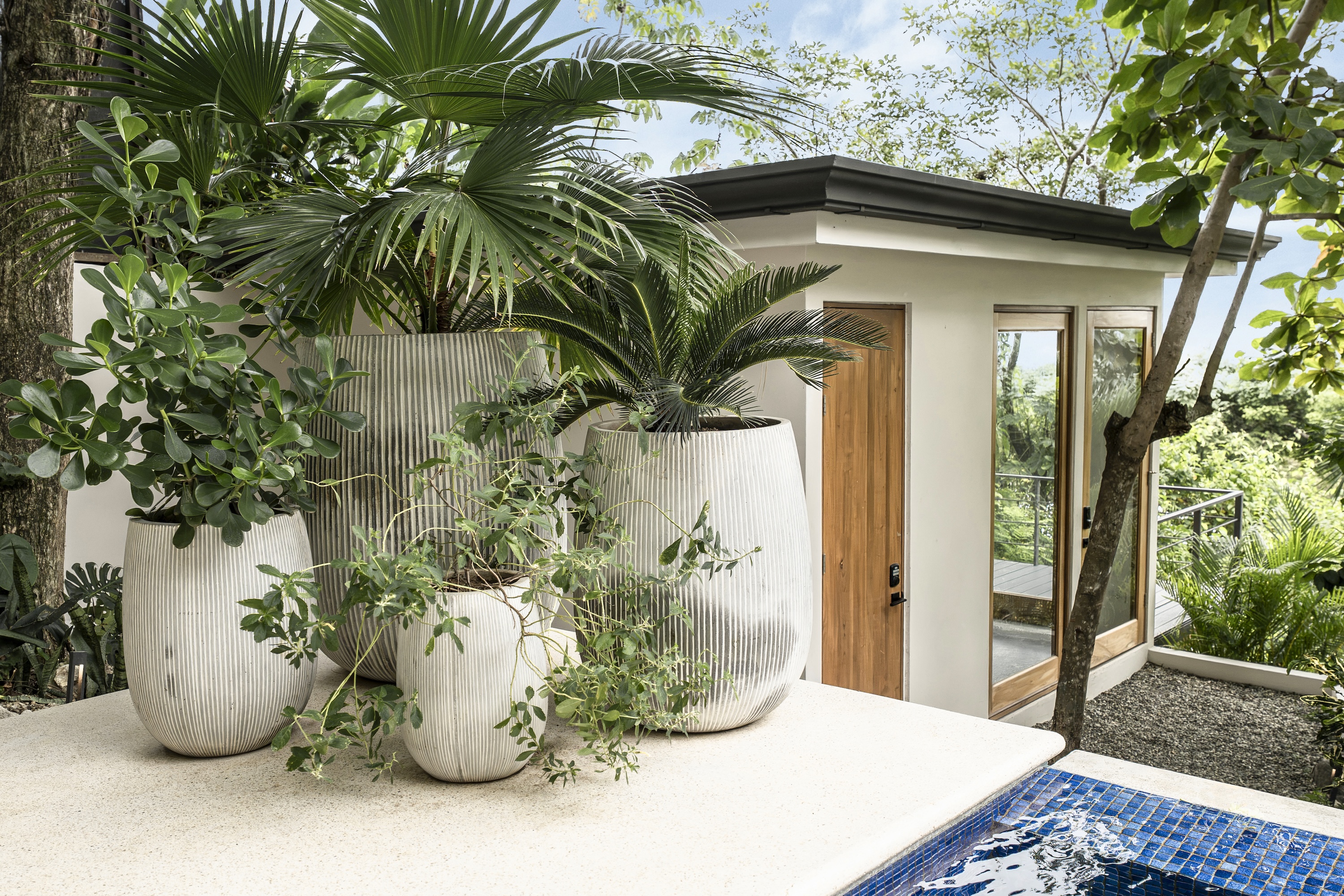 4 bed Single Family Homes For Sale in Nosara, Guanacaste - thumb 17