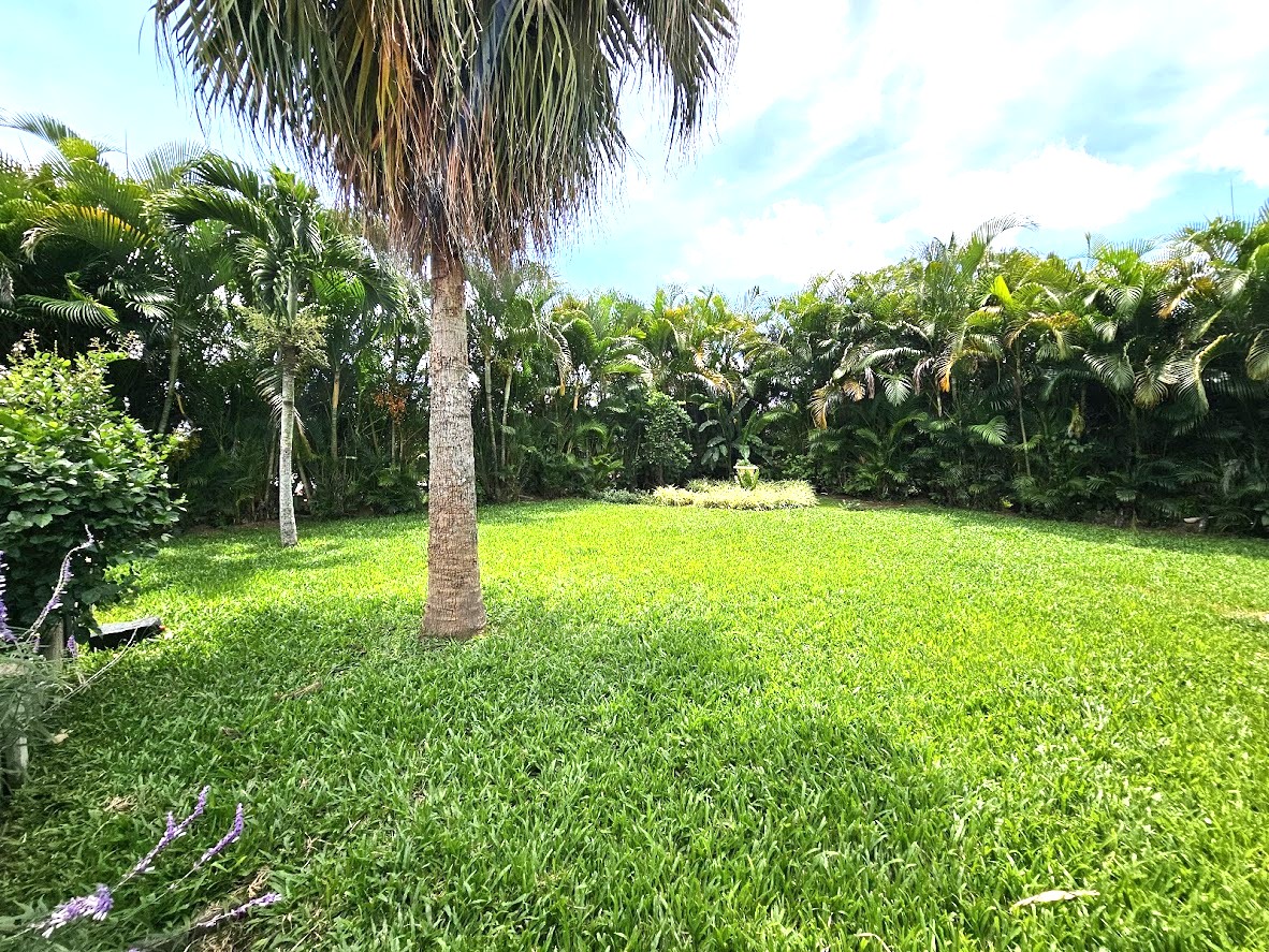 2 bed Single Family Homes For Sale in Atenas, Alajuela - thumb 18