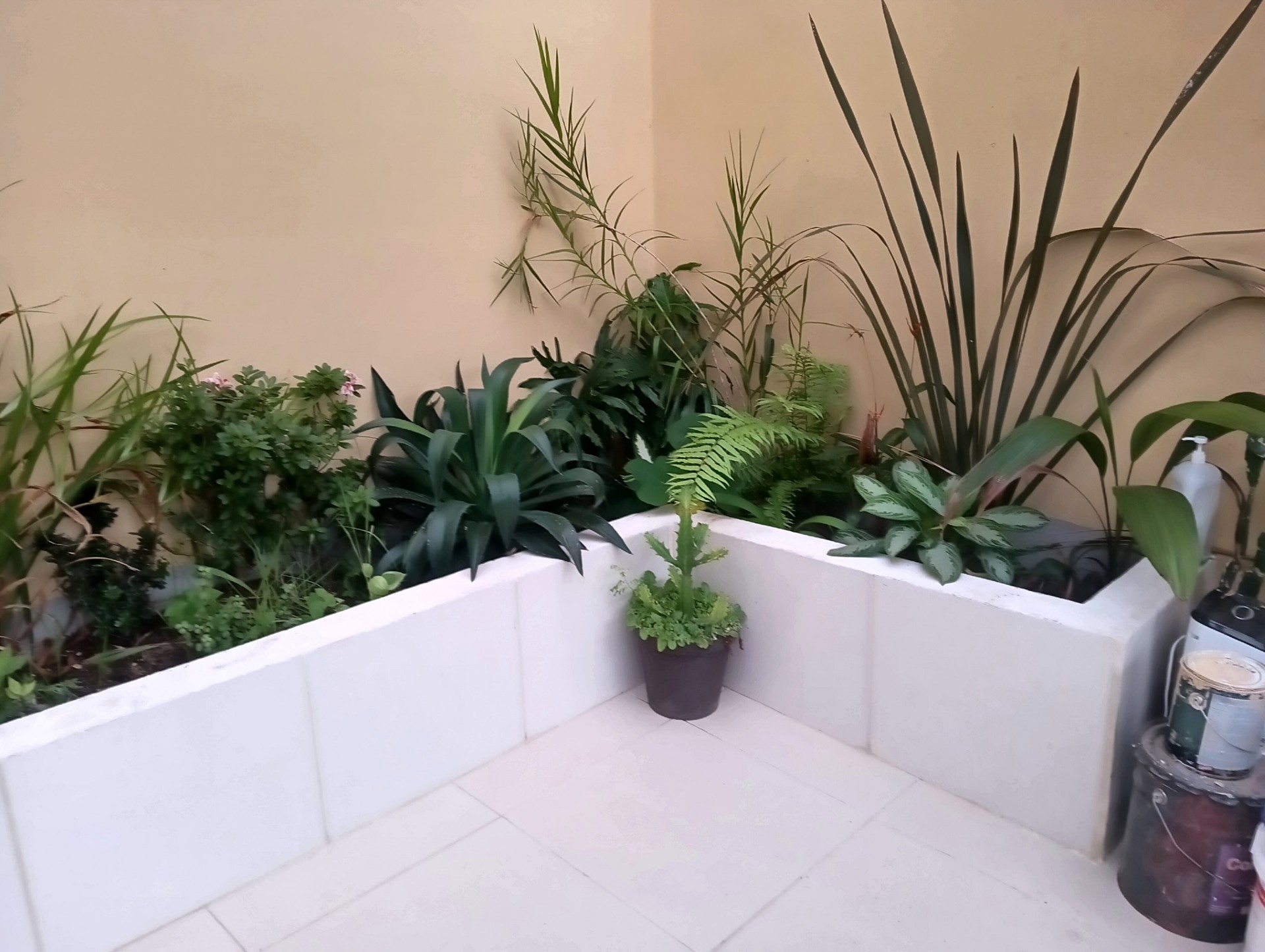 2 bed Single Family Homes For Sale in Tres Ríos, Cartago - thumb 5
