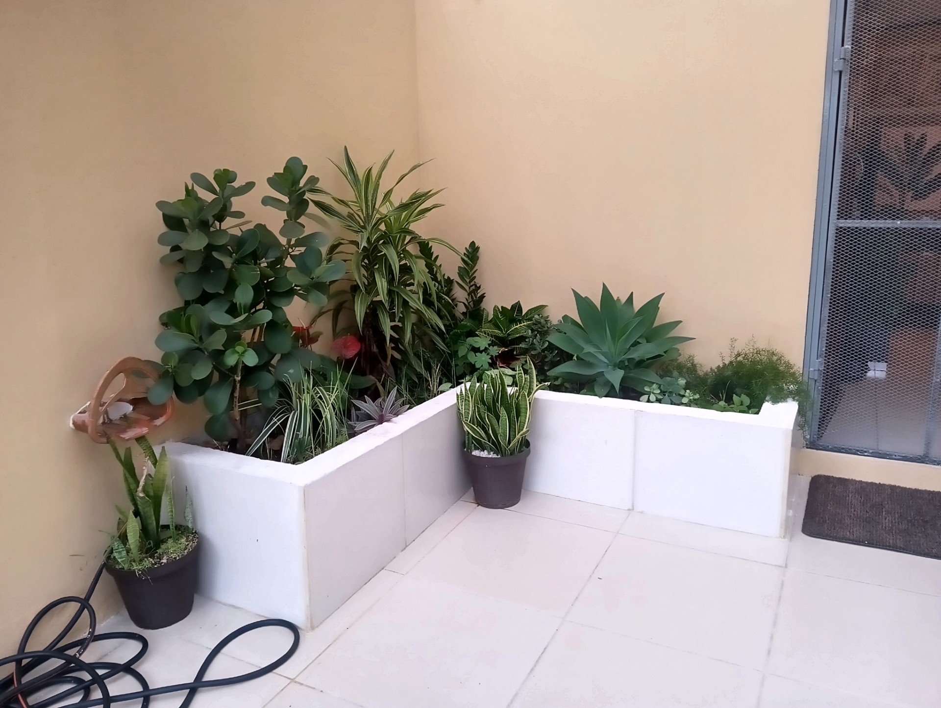 2 bed Single Family Homes For Sale in Tres Ríos, Cartago - thumb 6