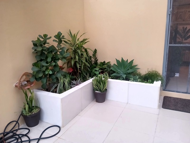 2 bed Single Family Homes For Sale in Tres Ríos, Cartago - photo 6