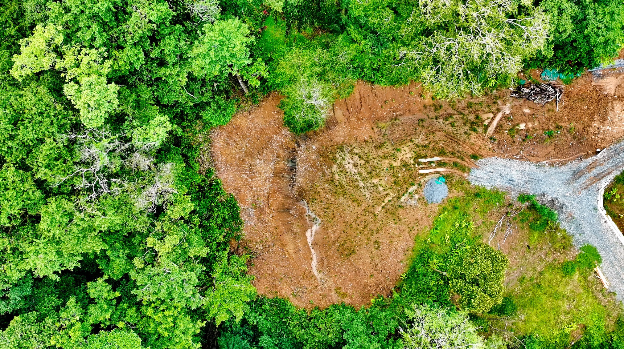 0 bed Land For Sale in Cahuita, Limón - thumb 2