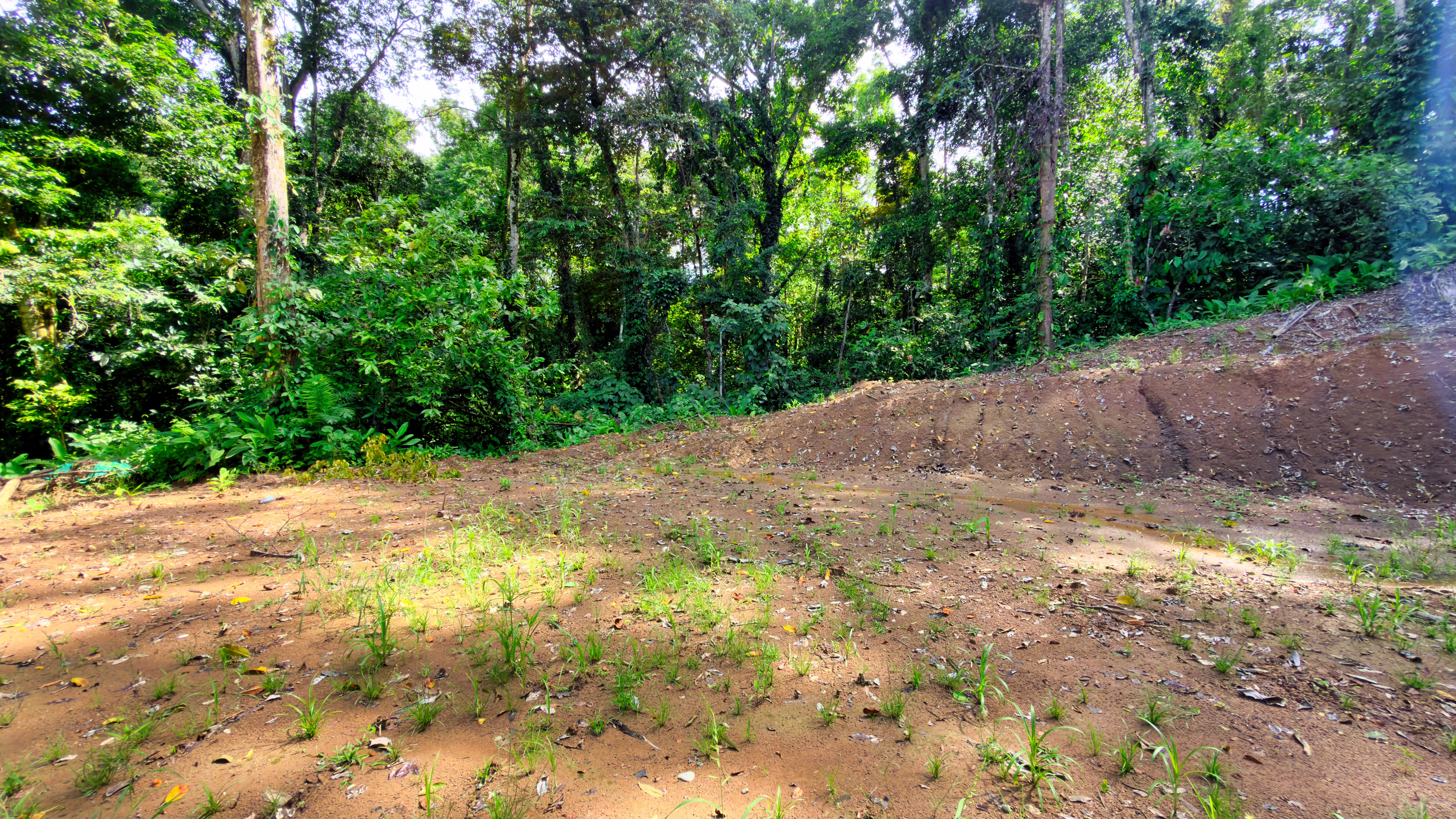 0 bed Land For Sale in Cahuita, Limón - thumb 12