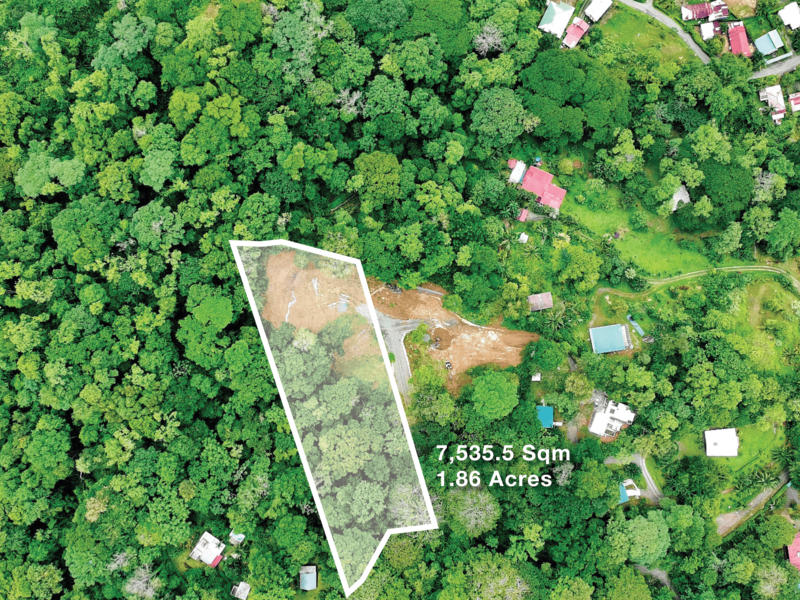0 bed Land For Sale in Cahuita, Limón - 1