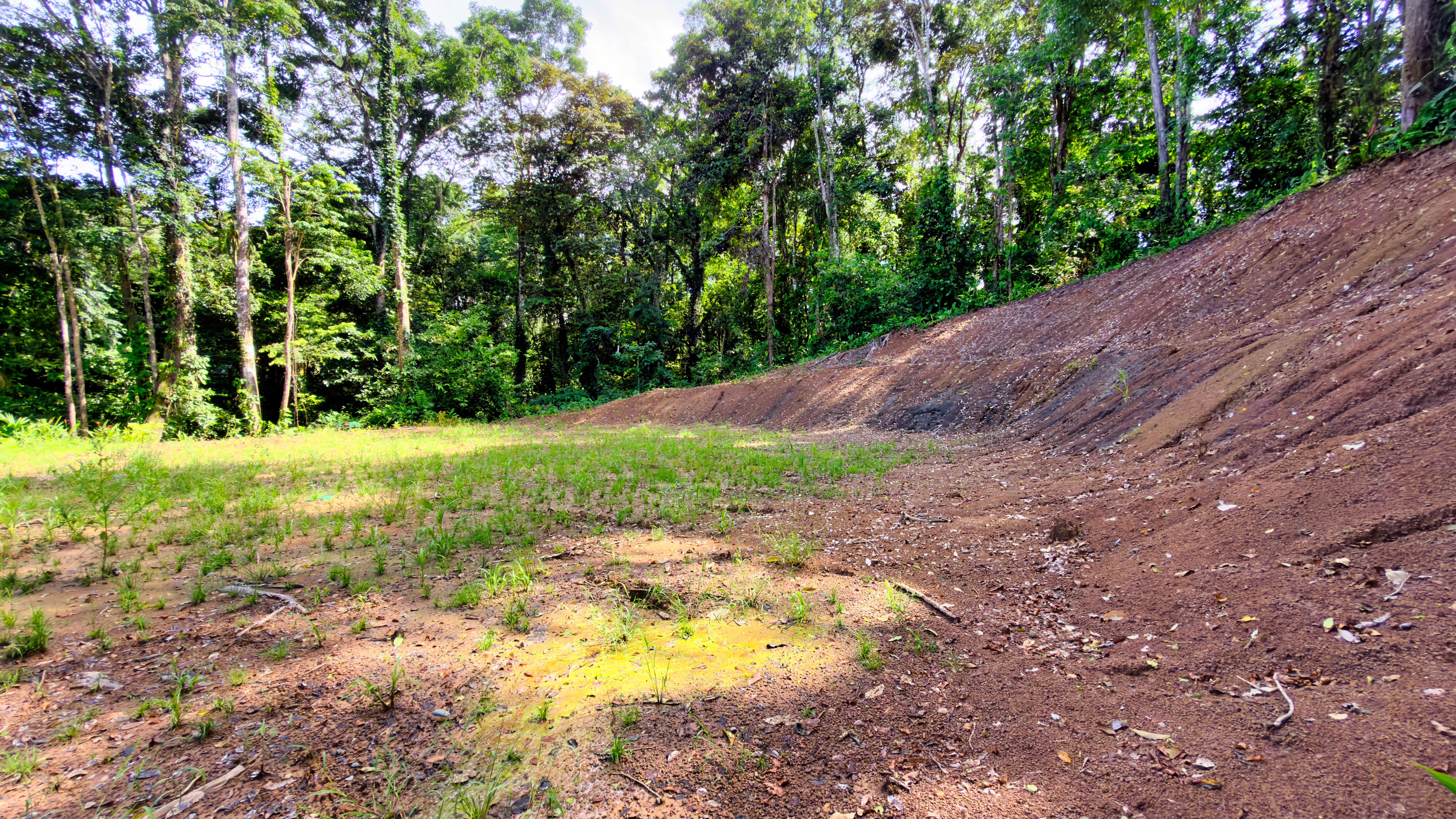 0 bed Land For Sale in Cahuita, Limón - thumb 10