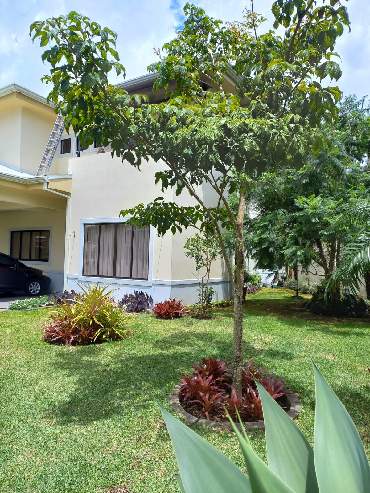 4 bed Condo For Sale in Curridabat, San Jose - thumb 3
