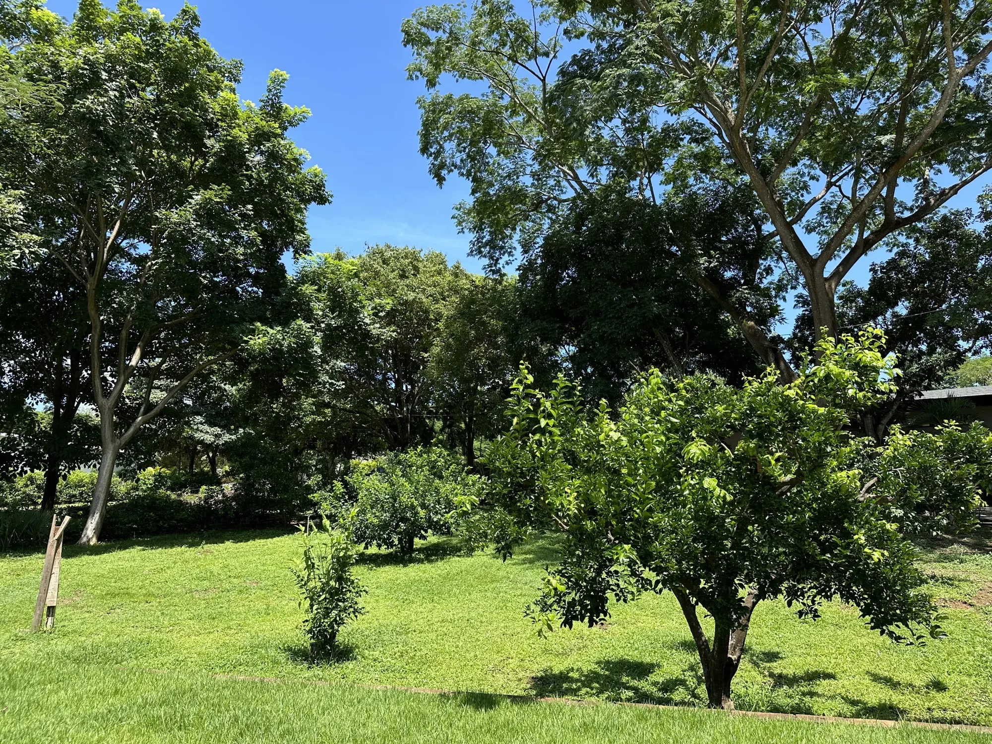 3 bed Single Family Homes For Sale in Tamarindo, Guanacaste - thumb 14