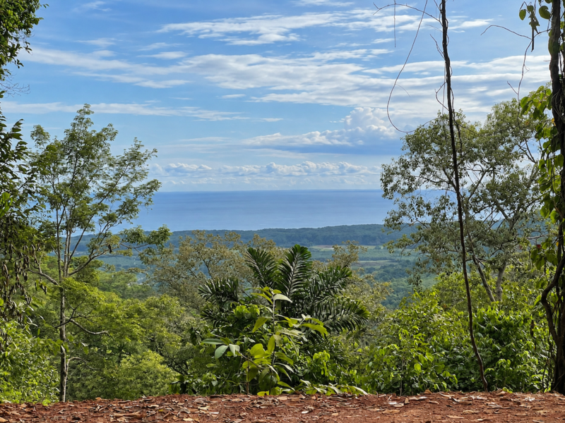 0 bed Land For Sale in Quepos, Puntarenas