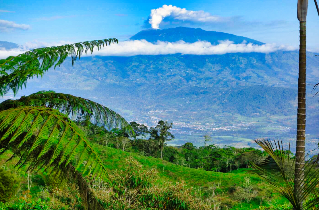 3 bed Single Family Homes For Sale in La Suiza, Cartago - thumb 9