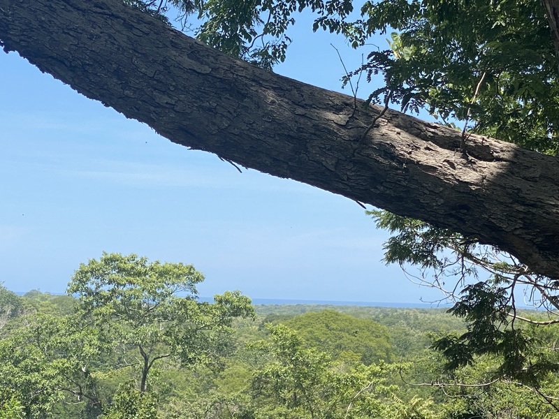 0 bed Land For Sale in Playa Lagarto, Guanacaste - 1
