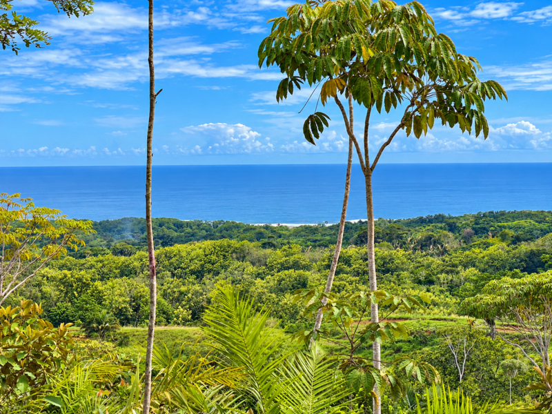 0 bed Land For Sale in Parrita, Puntarenas - 1