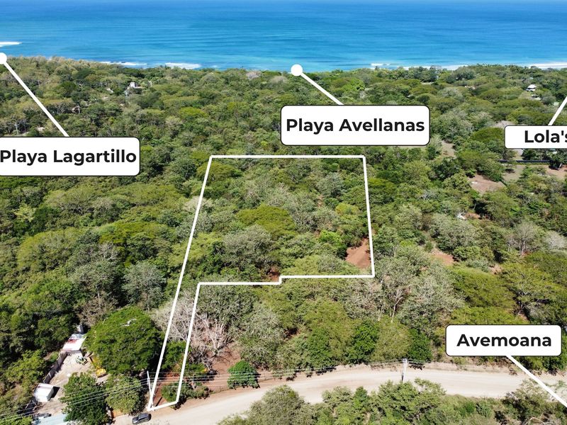 0 bed Land For Sale in Avellanas, Guanacaste - 1
