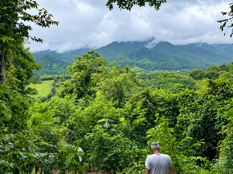 0 bed Land For Sale in Playa San Miguel, Guanacaste - 1