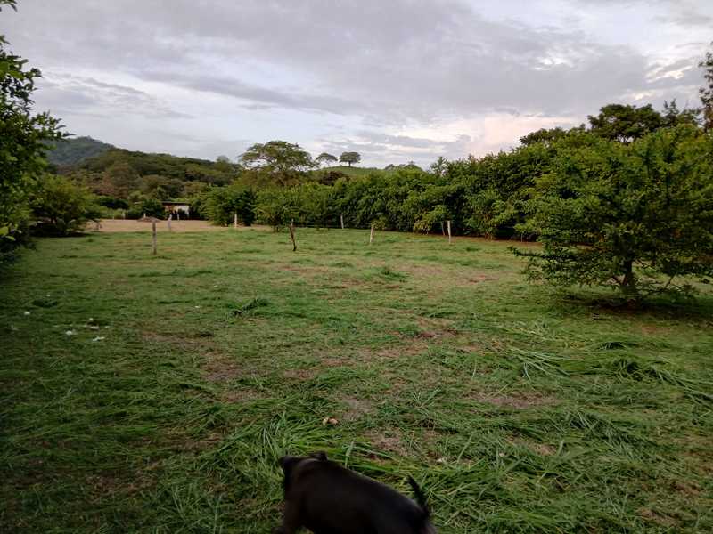 0 bed Property For Sale in Junquillal, Guanacaste - 1