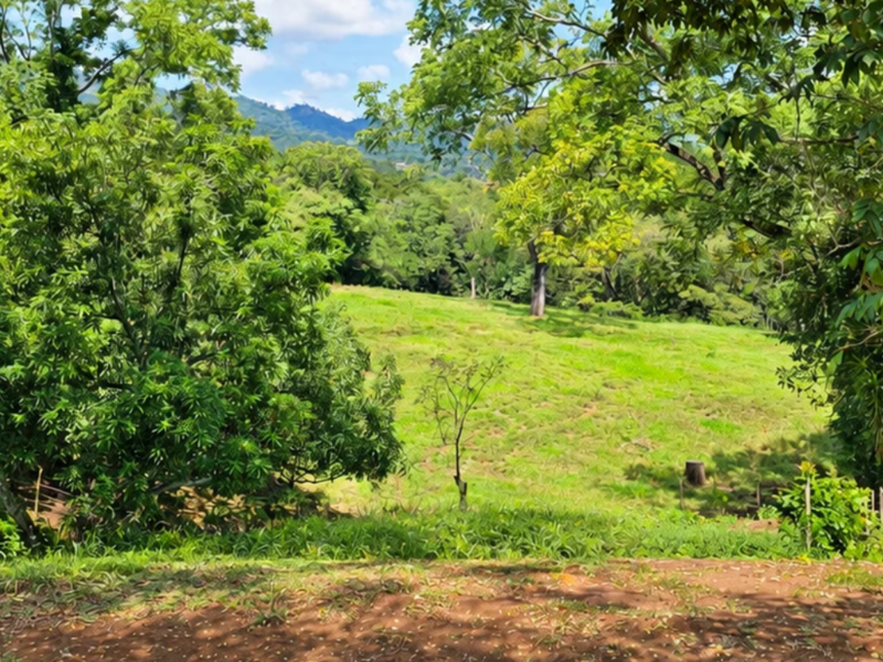 0 bed Land For Sale in Atenas, Alajuela - 1