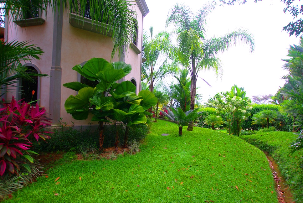 3 bed Single Family Homes For Sale in Dominical, Puntarenas - thumb 26