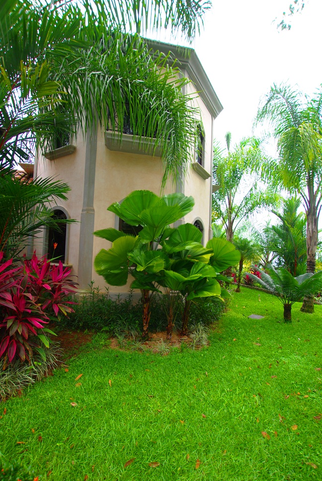 3 bed Single Family Homes For Sale in Dominical, Puntarenas - thumb 27